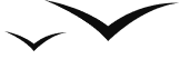 Birds flying image