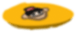 Coin image